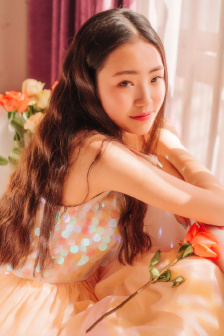 花翎飞盗